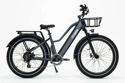 Dirwin Bike B2B - Dirwin Pioneer Step-Thru Fat Tire Electric Bike, Grey