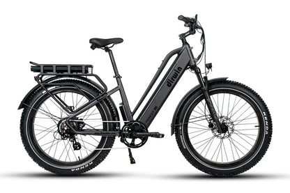 Dirwin Bike B2B - Pioneer Plus Step Thru Fat Tire Electric Bike