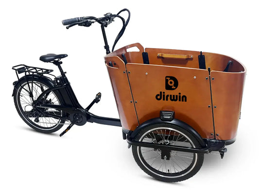 Dirwin Bike B2B - 	Dirwin Atlas Cargo Electric Bike