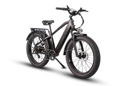 Dirwin Bike B2B - Dirwin Pioneer Fat Tire Electric Bike, Matte Black